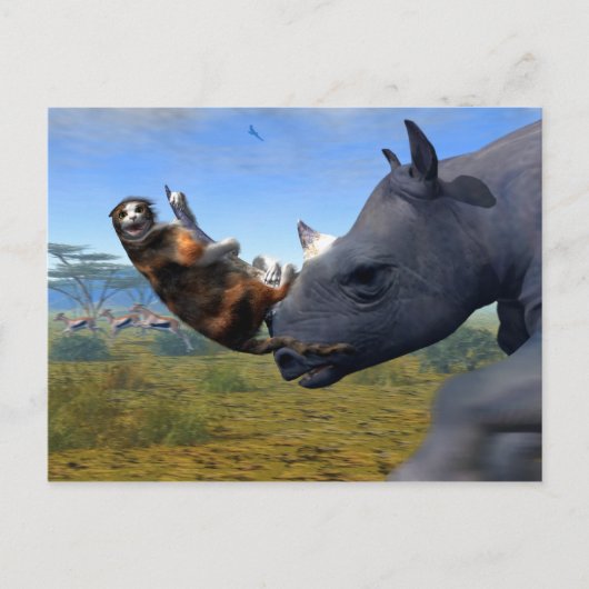 Kalahari Express Postkarte (Vorderseite)