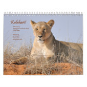 Kalahari! Kalender-Säugetiere von Kgalagadi Kalender (Titelbild)