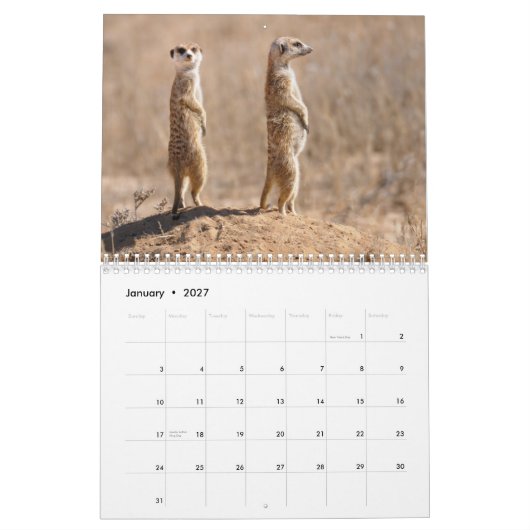 Kalahari! Kalender-Säugetiere von Kgalagadi Kalender (Jan 2027)