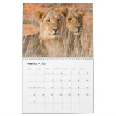 Kalahari! Kalender-Säugetiere von Kgalagadi Kalender (Feb 2027)