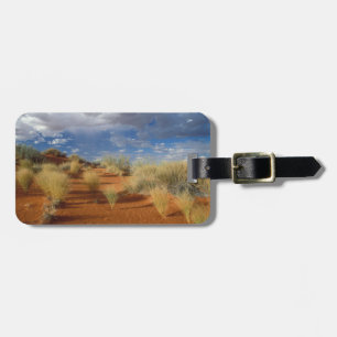 Kalahari-Wüsten-Szene, Kgalagadi Transfrontier 2 Gepäckanhänger