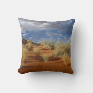 Kalahari-Wüsten-Szene, Kgalagadi Transfrontier 2 Kissen