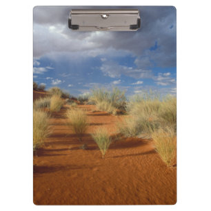 Kalahari-Wüsten-Szene, Kgalagadi-Transfrontier 2 Klemmbrett