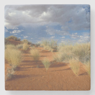 Kalahari-Wüsten-Szene, Kgalagadi Transfrontier 2 Steinuntersetzer