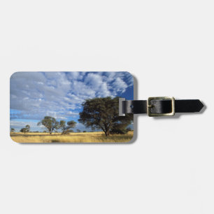 Kalahari-Wüsten-Szene, Kgalagadi-Transfrontier Gepäckanhänger