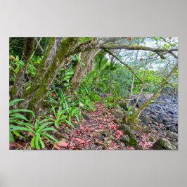 Kalalau-Pfad, Napalische Küste, Kauai, Hawaii Poster