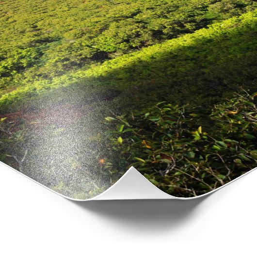 Kalalau Valley Kauai Hawaii Fotodruck (Ecke)