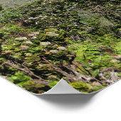 Kalalau Valley, Kauai, Hawaii Poster (Ecke)