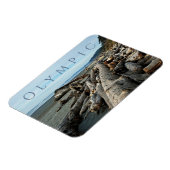 Kalaloch Beach Driftwood, Olympischer Nationalpark Magnet (Linke Seite)