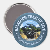 Kalaloch Tree of Life Magnet (Vorderseite/Rückseite)