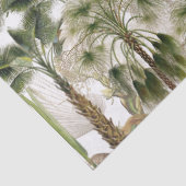 Kalamus-Palmenbaum-Blätter-Frucht-Tissue-Papier Seidenpapier (Detail)
