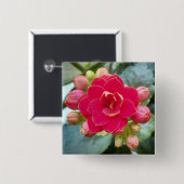 Kalanchoe-Blume Button (Vorne & Hinten)