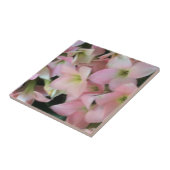 Kalanchoe Blume Fliese (Seite)