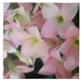 Kalanchoe Blume Fliese (Vorderseite)