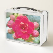 Kalanchoe-Blume Metall Brotdose (Rückseite)