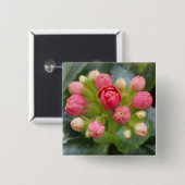 Kalanchoe Buds Button (Vorne & Hinten)