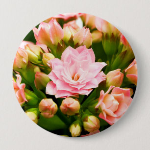 Kalanchoe calandiva button