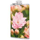 Kalanchoe calandiva flachmann (Links)