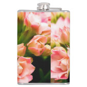 Kalanchoe calandiva flachmann (Rückseite)