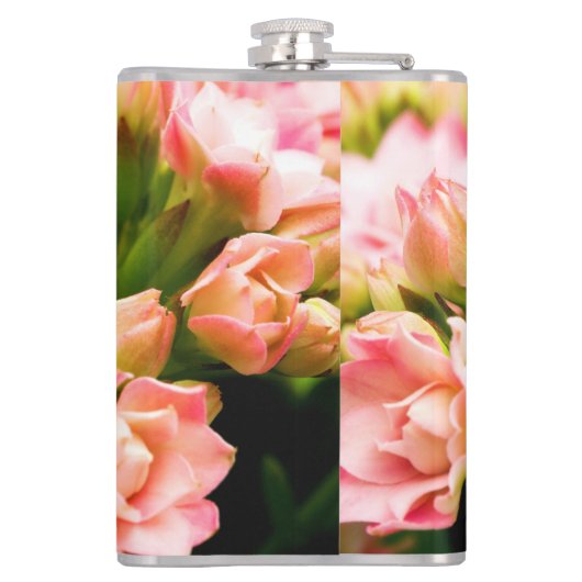 Kalanchoe calandiva flachmann (Rückseite)