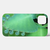 Kalanchoe Case-Mate iPhone Hülle (Rückseite (Horizontal))