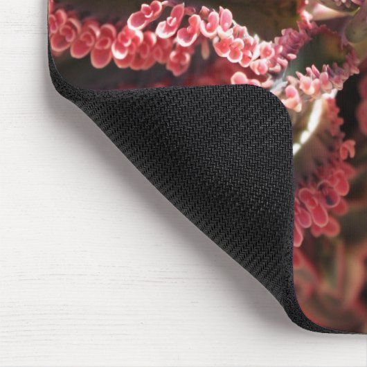 Kalanchoe "Schmetterling Wings" mousepad (Ecke)