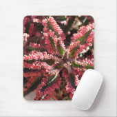 Kalanchoe "Schmetterling Wings" mousepad (Mit Mouse)
