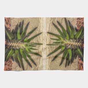 Kalanchoe Überraschung Zwei Küchentücher