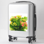 Kalanchos Aufkleber (Koffer)