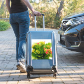 Kalanchos Aufkleber (Koffer Insitu)