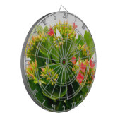 Kalanchos Dartscheibe (Vorderseite Links)