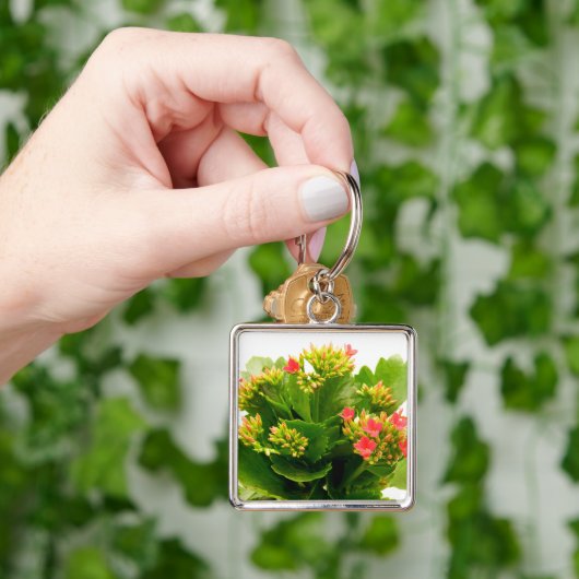 Kalanchos Schlüsselanhänger (Hand)