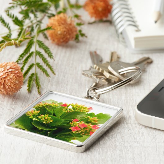 Kalanchos Schlüsselanhänger (Seite)