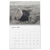 Kalandarzeitvögel in Nordamerika Kalender (Jan 2027)