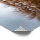 Kalb im Schnee mit Weihnachtssternkranz Poster (Ecke)