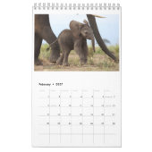 Kalb-Kalender Kalender (Feb 2027)