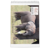 Kalb-Kalender Kalender (Titelbild)