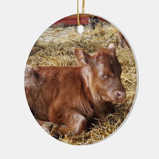 Kalb Keramik Ornament (Links)