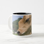 Kalb stehend zweifarbige tasse (Vorderseite Links)