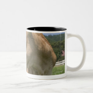 Kalb stehend zweifarbige tasse