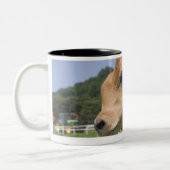 Kalb stehend zweifarbige tasse (Links)
