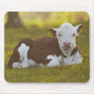 Kalb-Stillstehen Mousepad