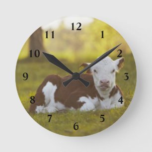 Kalb-Stillstehen Runde Wanduhr