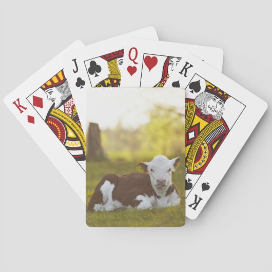 Kalb-Stillstehen Spielkarten (Rückseite)