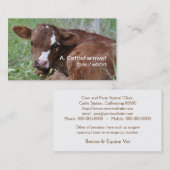 Kalb-Visitenkarte Visitenkarte (Vorne/Hinten)