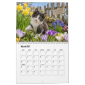 Kälbchen-Kalender Kalender (Mär 2027)