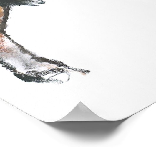 Kälber 2006 poster (Ecke)