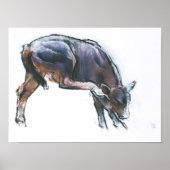 Kälber 2006 poster (Vorne)