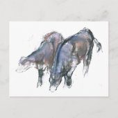 Kälber 2006 postkarte (Vorderseite)