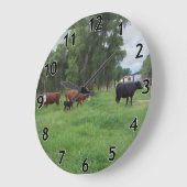 Kälber und Kühe in Weiden Große Wanduhr (Winkel)